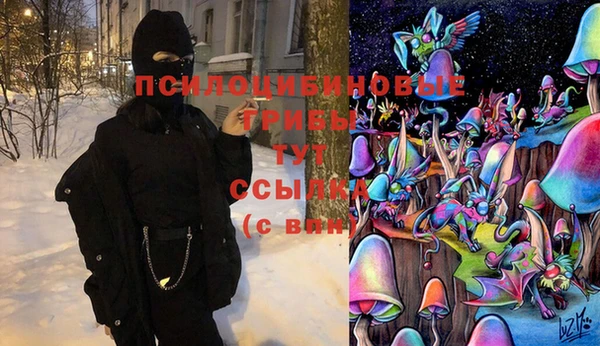 apvp Абдулино